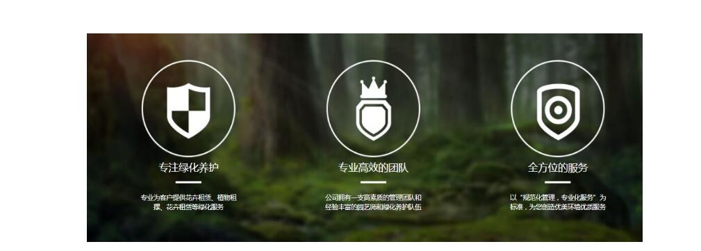 江阴斯菲尔绿化养护现场