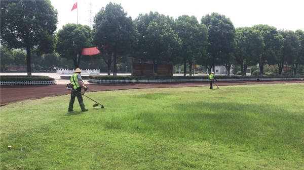 金童实验小学绿化养护现场